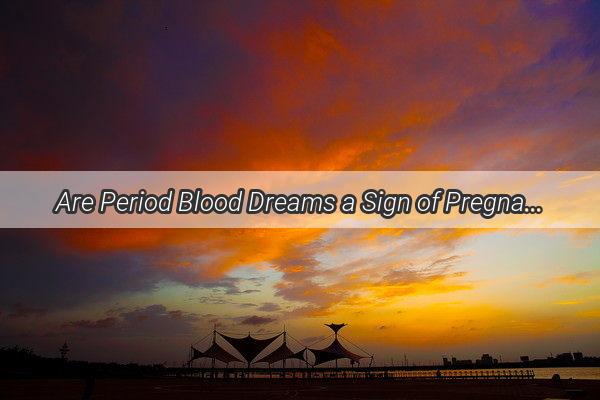 Are Period Blood Dreams a Sign of Pregnancy Unraveling the Mystery of Fertility Visions